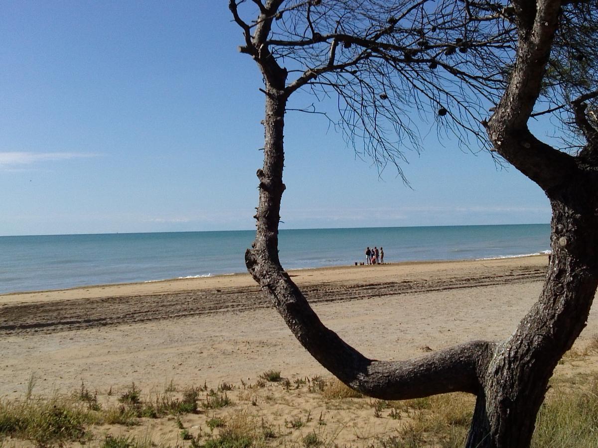 Hotel Alexander Bibione Luaran gambar